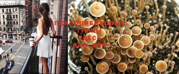 наркотики Бежецк