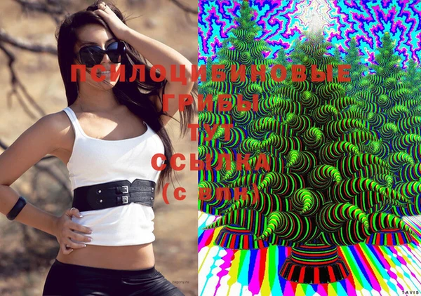 мдма Магас