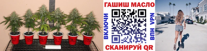 ТГК гашишное масло  Цимлянск 
