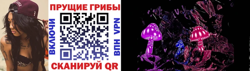 Галлюциногенные грибы Psilocybine cubensis Цимлянск